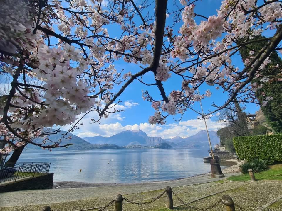 Apartment L'Ulivo Lake View Private Road 5 Kilometers From Varenna Лиерна Екстериор снимка